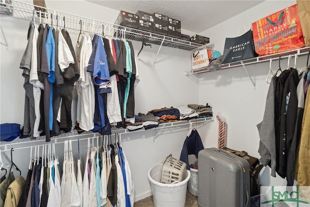 view of spacious closet