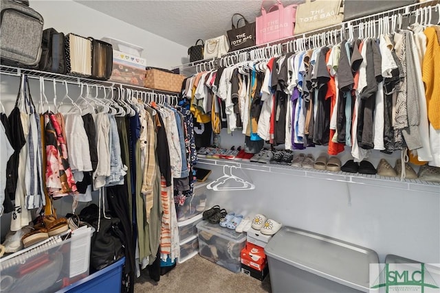 spacious closet with carpet