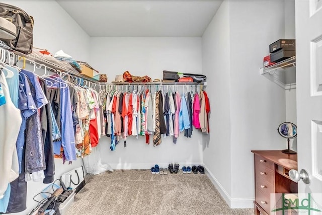 walk in closet with carpet