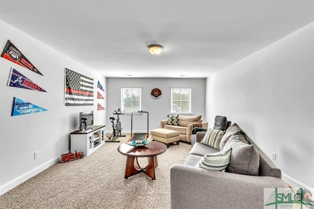 view of carpeted living room