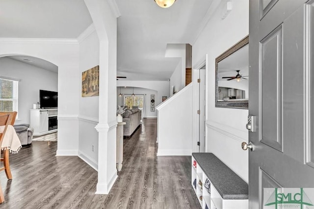 entryway featuring crown molding, hardwood / wood-style floors, and ceiling fan