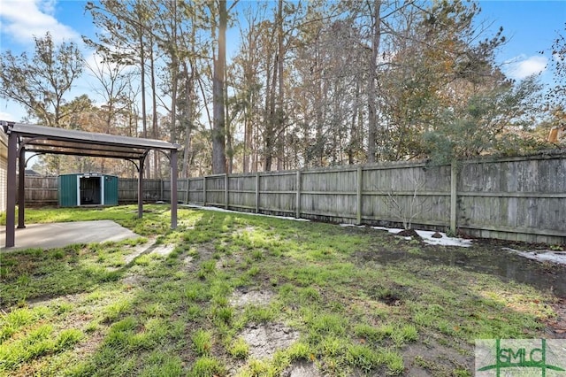 view of yard featuring a patio area and a storage unit