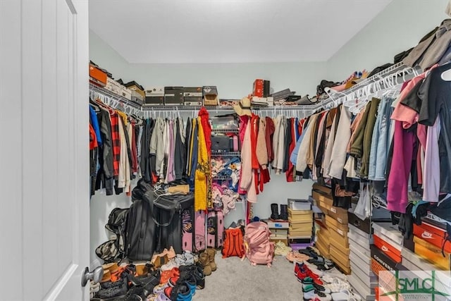 spacious closet featuring carpet floors