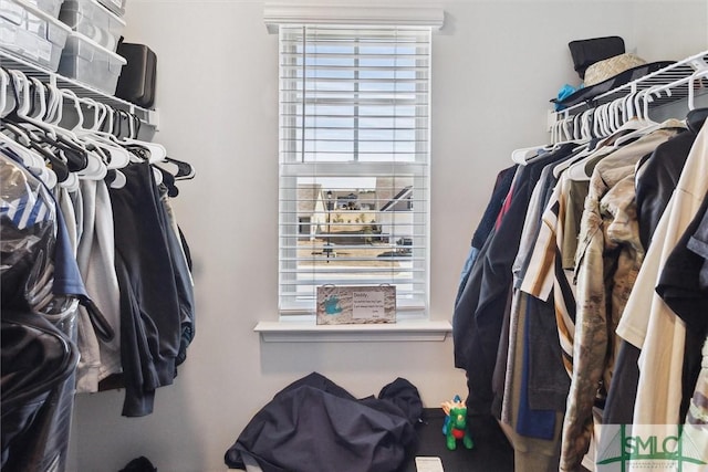 view of walk in closet