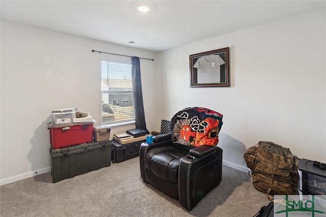 sitting room featuring carpet