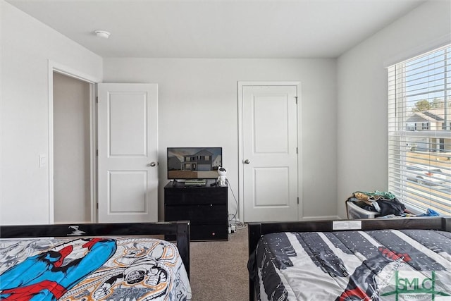 bedroom with carpet floors