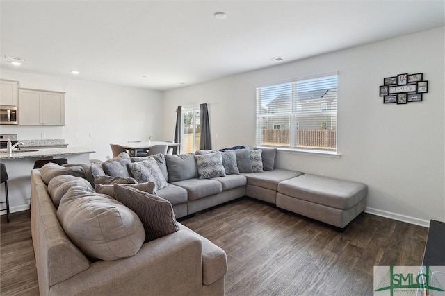 living room with dark hardwood / wood-style flooring and sink