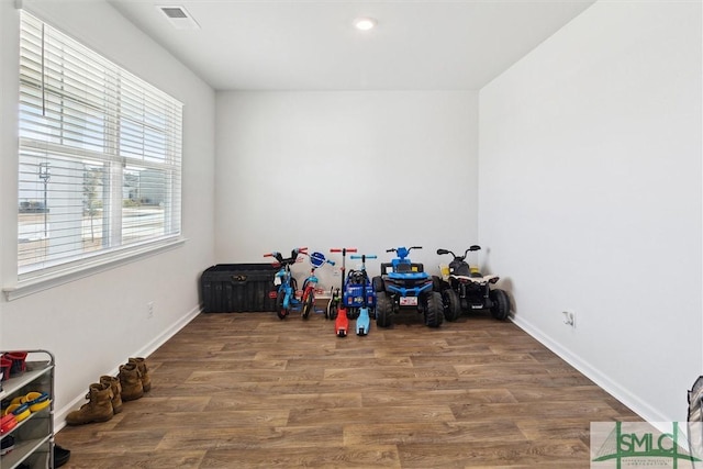 recreation room featuring wood-type flooring