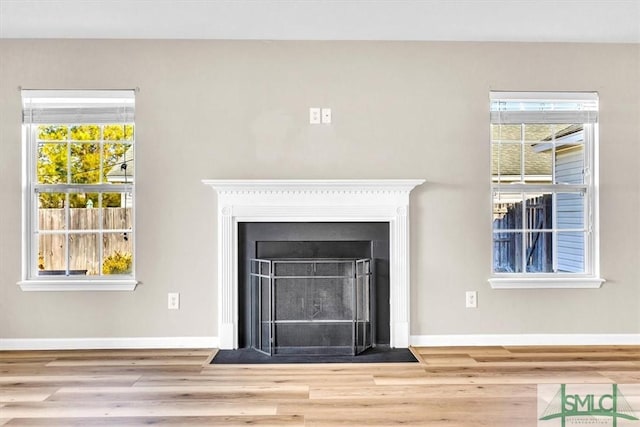 room details featuring baseboards, wood finished floors, and a fireplace with flush hearth
