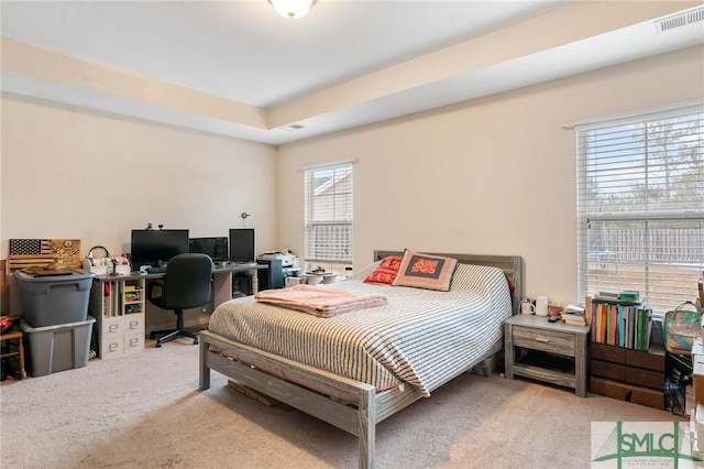 bedroom with light colored carpet and a raised ceiling