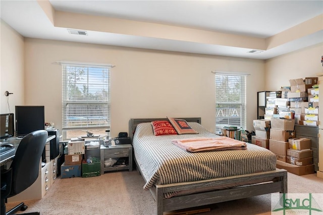 bedroom featuring a tray ceiling and light colored carpet