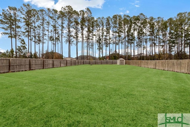 view of yard featuring a storage shed