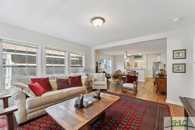 living room with a wealth of natural light and light wood-type flooring