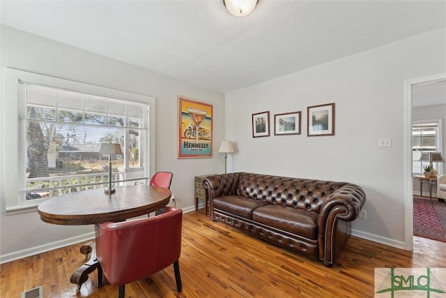 living room featuring wood-type flooring