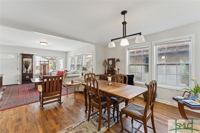 dining area with wood-type flooring