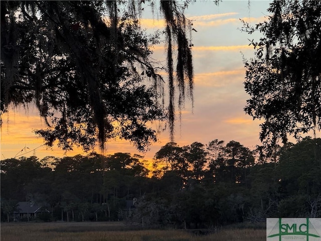 view of nature at dusk