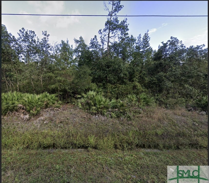 254 Live Oak Ln, Brunswick, GA 31523 - photo 3