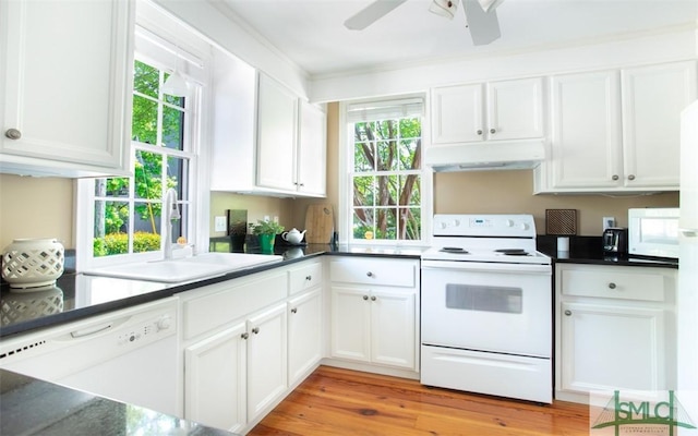 kitchen with white cabinetry, sink, and white appliances