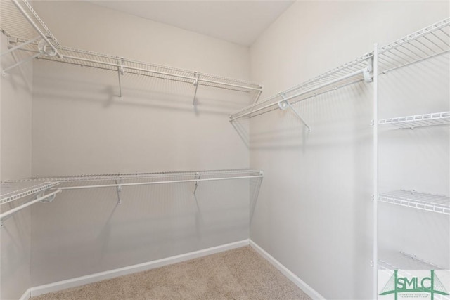 spacious closet with carpet