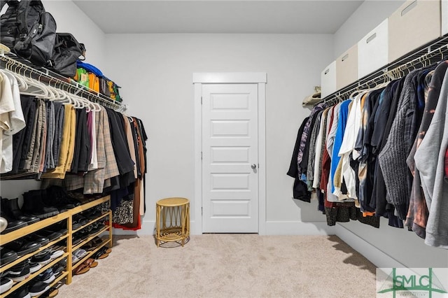 spacious closet with carpet