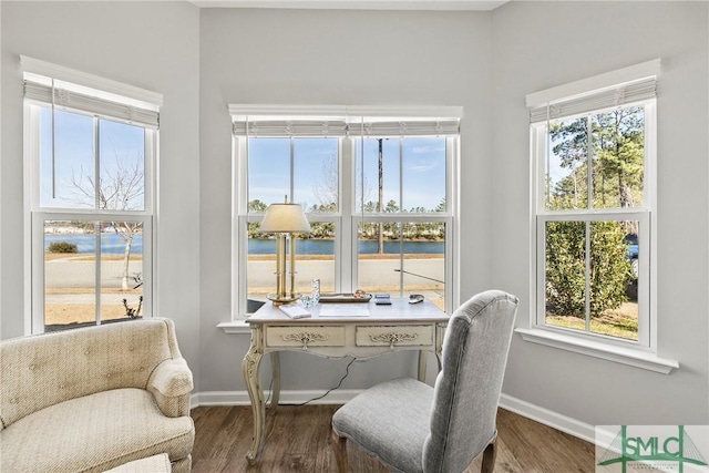 living area with a water view and dark wood-type flooring