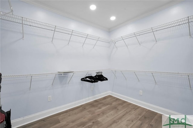 spacious closet featuring wood-type flooring