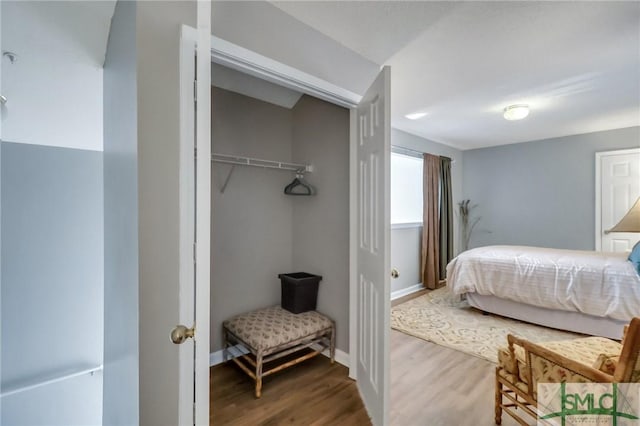 bedroom featuring wood-type flooring and a closet