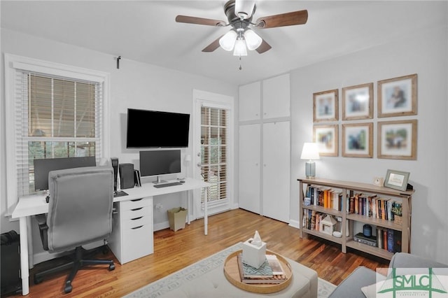 office space with ceiling fan and light hardwood / wood-style flooring