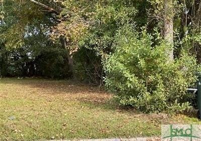 1322 Comer St, Savannah GA, 31415 land for sale