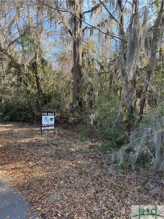 135 Monteith Rd, Port Wentworth GA, 31407 land for sale