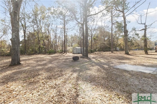 view of yard with a storage shed