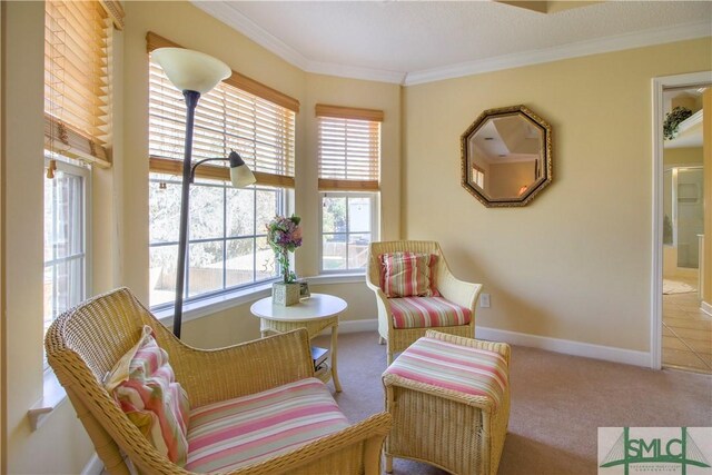 living area featuring crown molding and light colored carpet