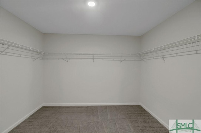 spacious closet with carpet