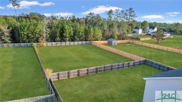 view of yard featuring a storage shed