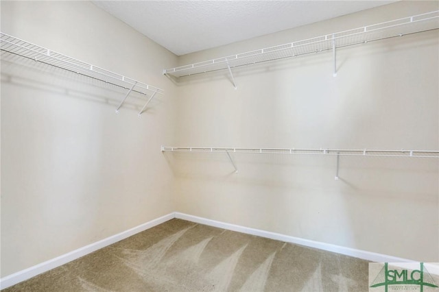 spacious closet with carpet flooring