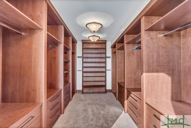 walk in closet with light colored carpet