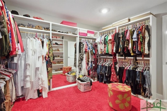 spacious closet with carpet