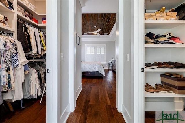 spacious closet featuring dark wood-type flooring and a raised ceiling