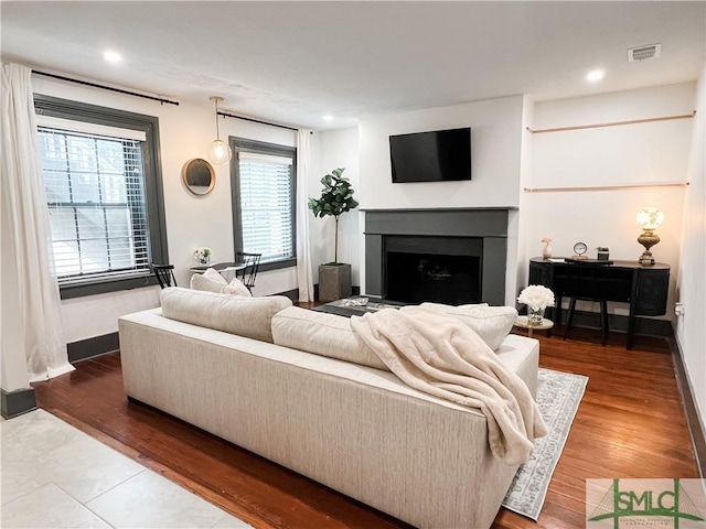 living room featuring wood-type flooring