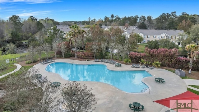 view of pool featuring a patio