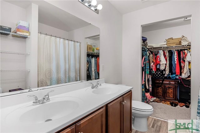 bathroom with vanity, wood-type flooring, and toilet