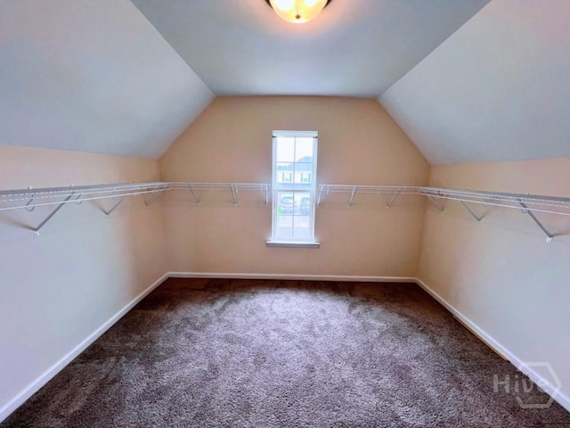 125 Grimsby Rd, Savannah, GA 31407 - walk in closet featuring carpet flooring and lofted ceiling