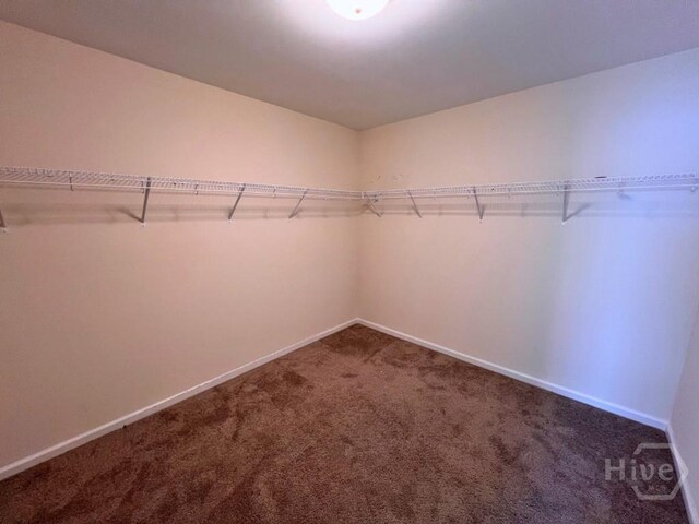 125 Grimsby Rd, Savannah, GA 31407 - walk in closet with dark colored carpet
