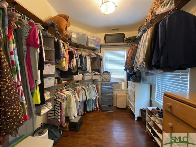 spacious closet featuring dark hardwood / wood-style floors