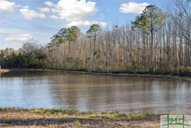 property view of water