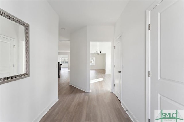 corridor featuring hardwood / wood-style flooring