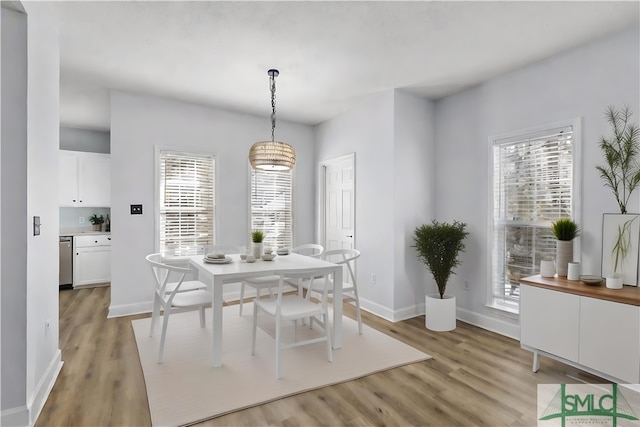 dining room featuring hardwood / wood-style flooring