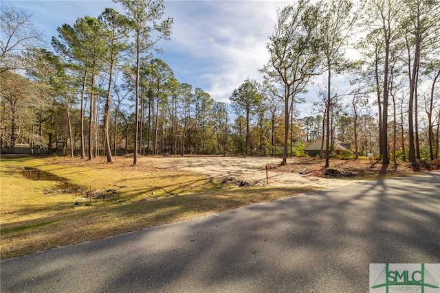 0 Oak Pointe Dr, Richmond Hill GA, 31324 land for sale