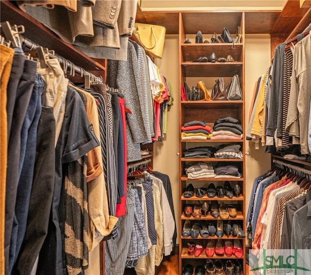 view of walk in closet