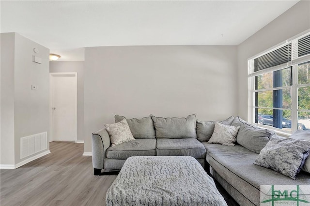 living room with hardwood / wood-style flooring